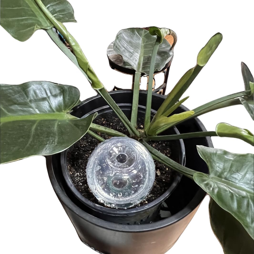 Blumat Clear Globes