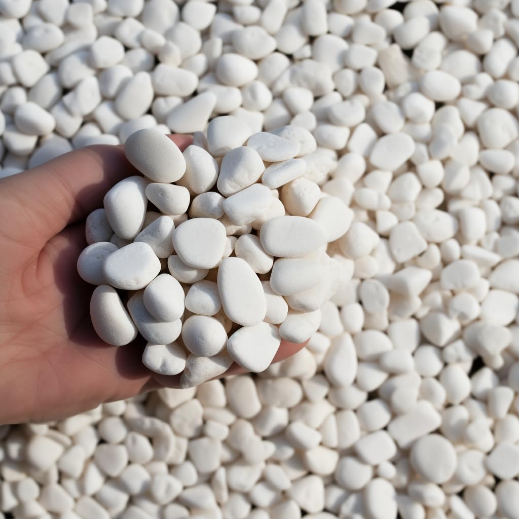 6 LBS River Rocks, StoneCreek, Decorative Garden Stones for Plant Landscaping, Polished Gravel Filler Pebbles for Home Decoration, Vases, Succulents, Flower Beds and Fish Tanks (White, Medium)