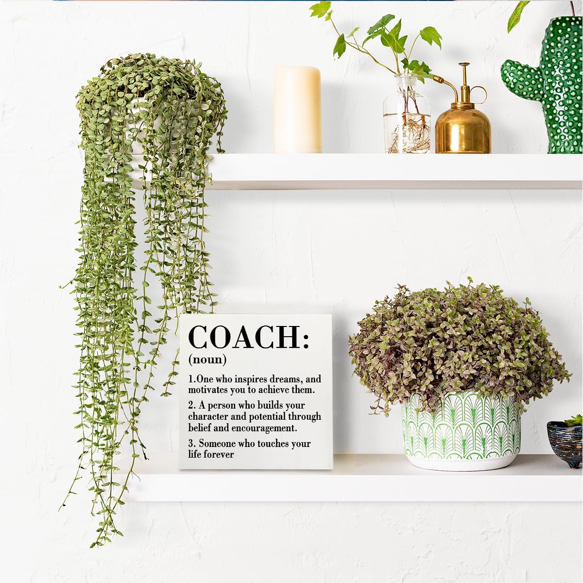 HTBIG Rustic White Wooden Coach Definition Sign, 5.1 x 5.1 Inches, Perfect for Home Office, Bedroom, Classroom, Cubicle, Counseling Desk, Shelf, Table Decoration
