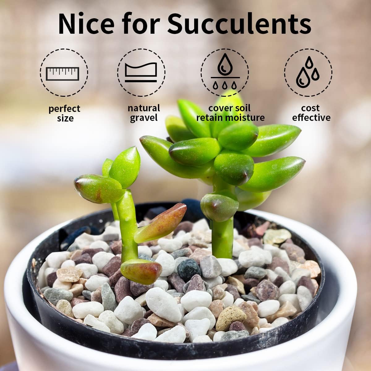 5 lbs Natural Mixed Color Gravel Pebbles, 3/8 Inch Decorative Succulent Rocks Pebbles for Plants, Stones for Vase, Landscaping and Outdoor Garden Decorative River Rock