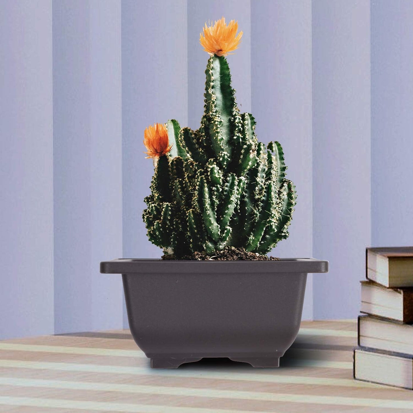 KINJOEK 15 PCS 4.7 Inch Plastic Small Square Plant Pots with Drainage Hole, Flower Succulent Bonsai Tree Pots Bonsai Starter Planter for Garden, Indoor, Home Decorative