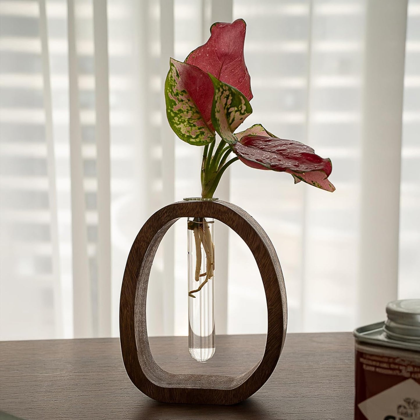 Modern Wooden Glass Test Tube Vase - Desk Plant Decor, Suitable for Home and Office Use