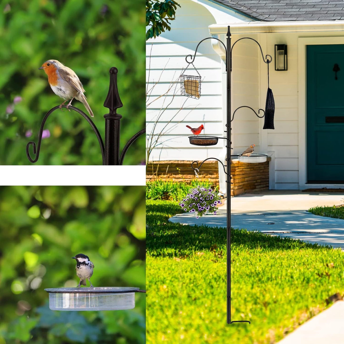 Premium Bird Feeding Station Kit - Multi Feeder Hanging Set with Suet Cage, Bird Bath & Finch Sock Attractors