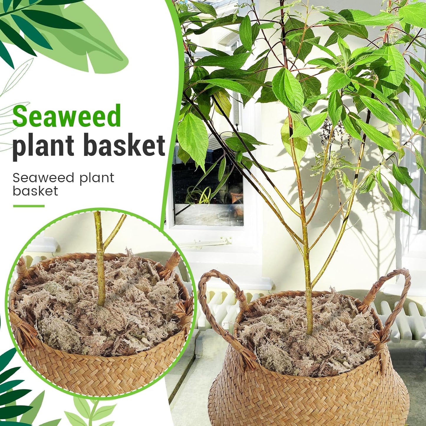 1 Pack Large Wicker Plant Basket with Handle 10 Inch Woven Seagrass Belly Basket and Artificial Moss for Plants Picnic Grocery Laundry House Storage Home Decor (Large)