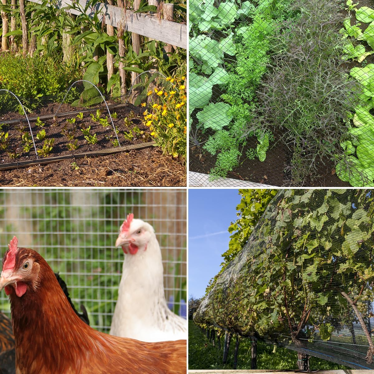 Bird Netting,7.5 x 65 FT Garden Netting Bird Net for Chicken Coop, Poultry Netting Fence for Fruit Trees, Plants and Vegetables Against Birds, Deer, Squirrels and Other Animals