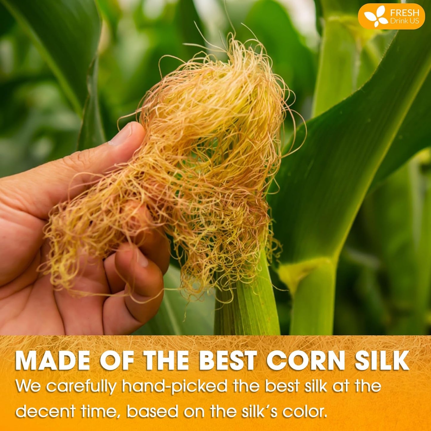 FreshDrinkUS, Premium 75 Tea Bags Corn Silk Tea, 100% Natural & Pure from Corn Silk. Corn Silk Herbal Tea. Clean Ingredients. Made with Natural Material Tea Bags. No Sugar, No Caffeine, Vegan.