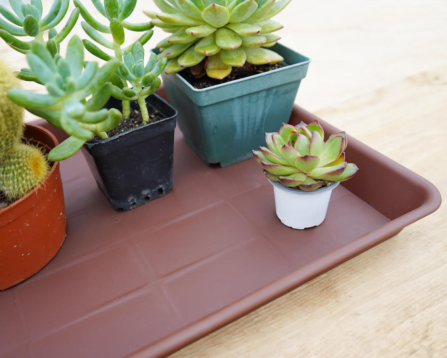 Plant Saucer Growing Tray, Seed Starter Tray Rectangular, Heavy Sturdy Plastic Plant Saucers Drainage Trays, Plant Drip Trays for Pots, Seed Starter Growing Tray (11 x 9 inch, 1 Pack)