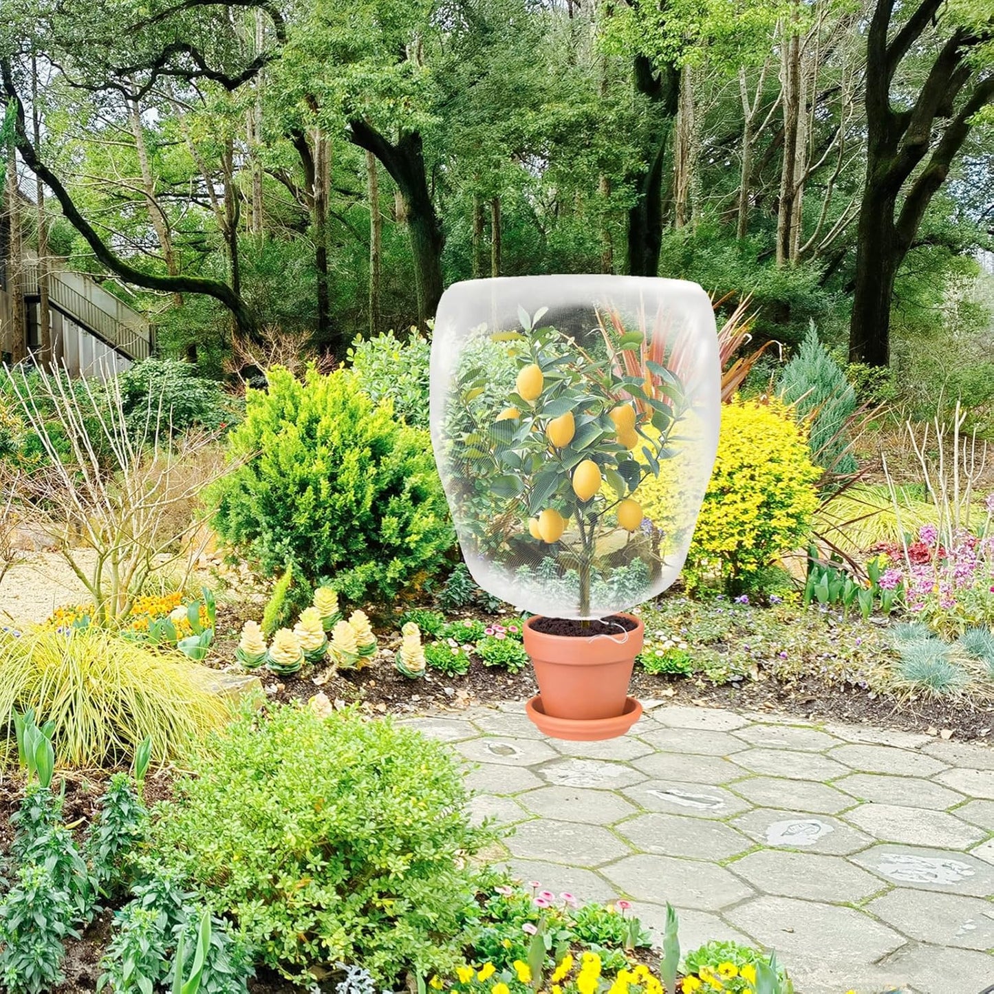 Garden Plant Covers Bags with Drawstring, 6 Pack, 3.3x2.6Ft Mesh Plant Covers, Insect Bird Barrier Mesh, for Trees & Shrubs &Garden Plant Protection