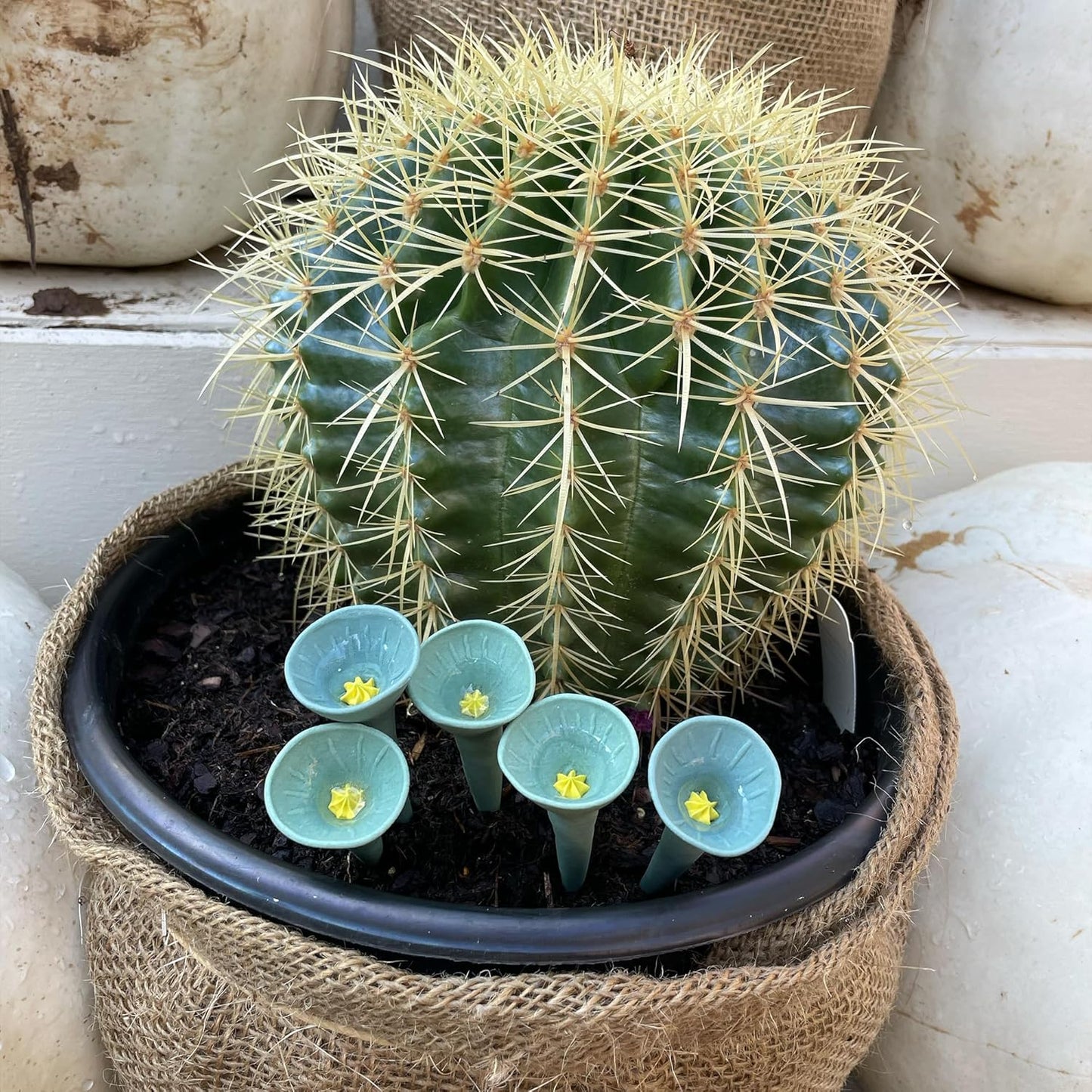 5 Pack, Bee Watering Station, 100% Handmade Porcelain, Bee and Butterfly Feeder for Garden, Outdoor Feeders for Thirsty Pollinators, Plastic Free, Pollinator Attracting Glaze (5, Cactus)