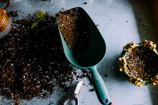 The Right Soil Key to a Flourishing Garden