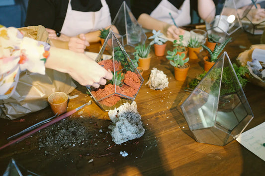 Elegant Terrariums for Stylish Indoor Plant Displays