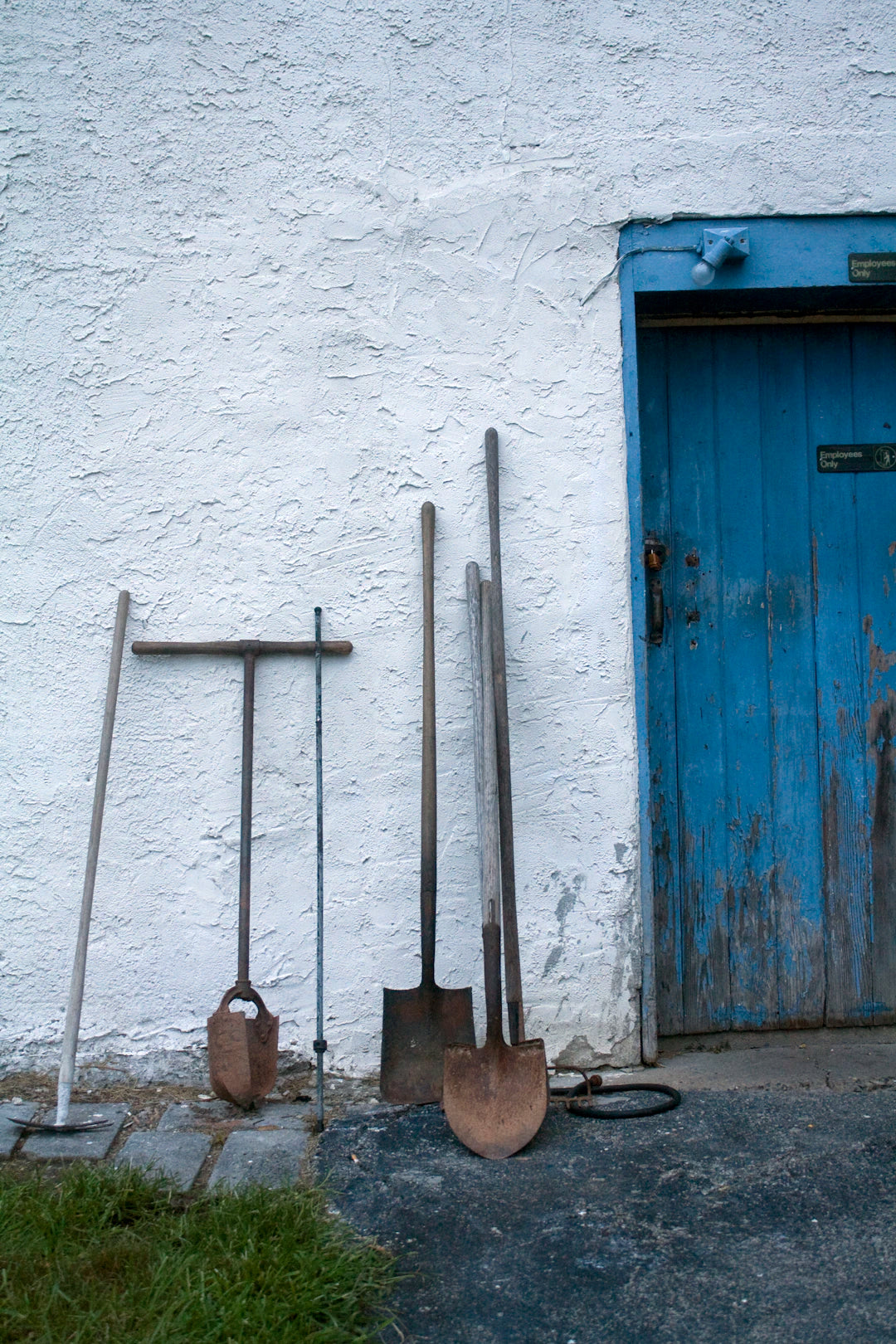 Essential Garden Tools for Every Gardener