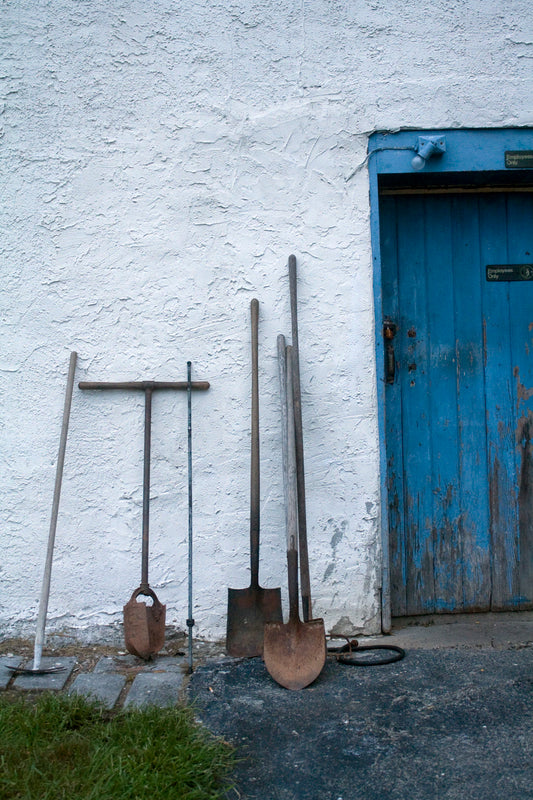 Essential Garden Tools for Every Gardener