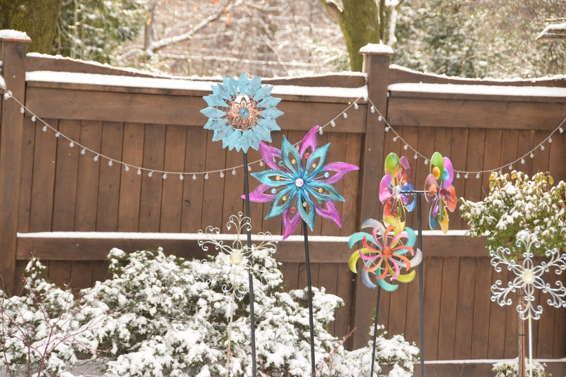 a group of colorful flowers