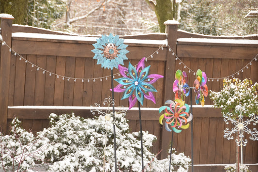 a group of colorful flowers