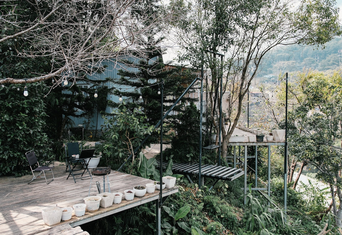 Deck with potted plants overlooks lush green trees.