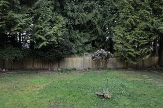 A backyard with a wooden fence and trees.