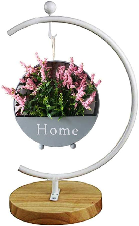 Archi G-Shaped Ornament Display Stand Iron Pothook Stand for Hanging Glass Terrarium/Picture with Wood Base(G Shape-White)