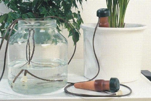 Blumat Classic Plant Watering Stakes - Self-Watering Insert for Indoor and Outdoor Plants - Automatic Slow Release Irrigation System for Potted Plants - Houseplant Care Device (10 Pack)