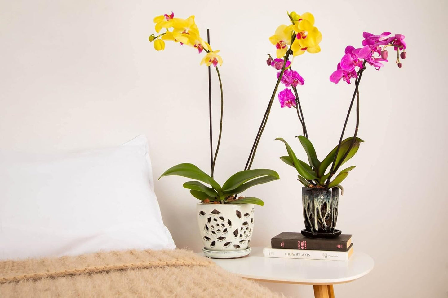 rePotme 5 inch Orchid Pot - Floral Cutout Ceramic Orchid Pot with Holes (White Diamond) - Includes 5 inch Slotted Pot Liner