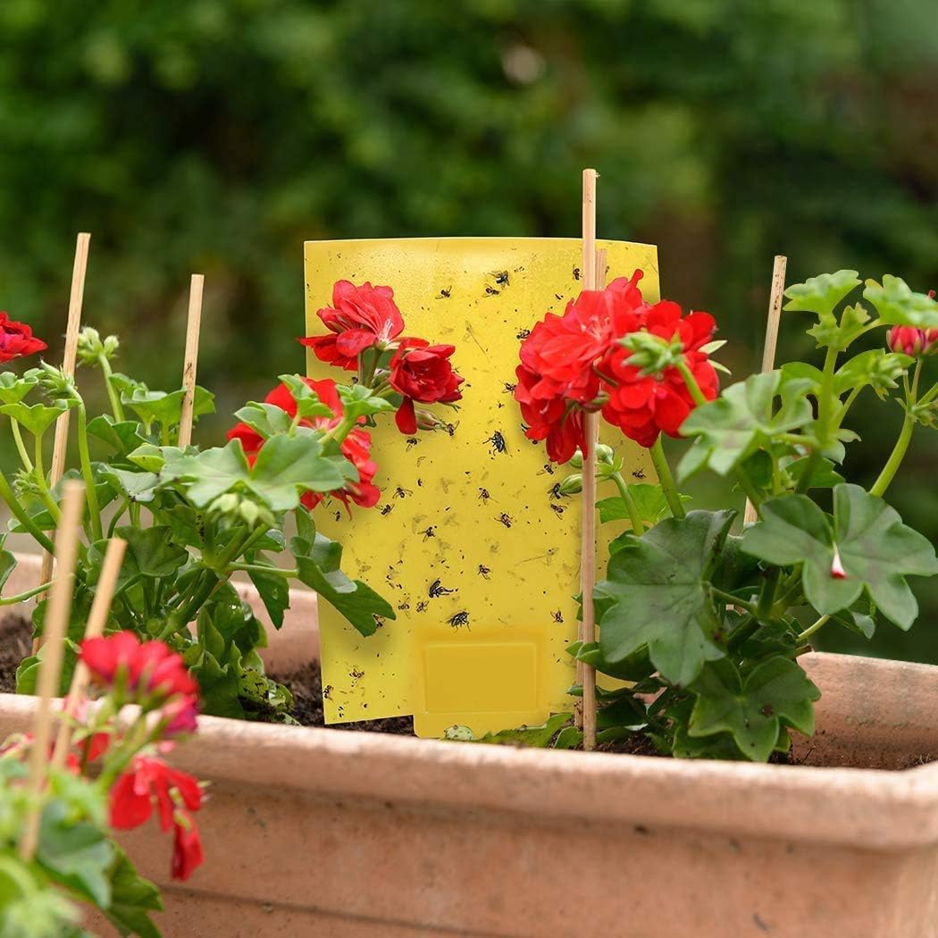 Gideal 50-Pack Dual-Sided Yellow Sticky Traps for Flying Plant Insect Fungus Gnats Whiteflies Aphids Leafminers Thrips (6x8 Inches, Included 50pcs Twist Ties)