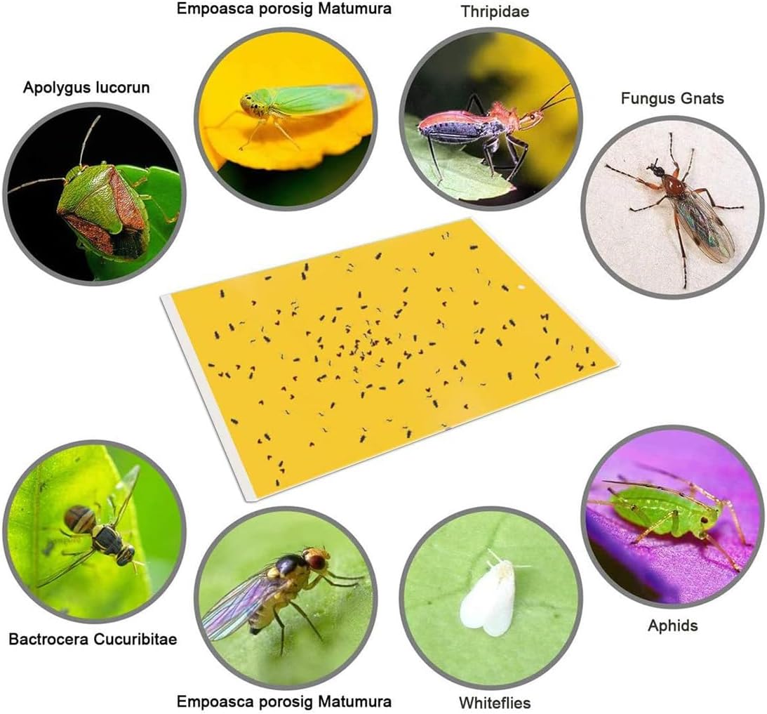 Gideal 30-Pack Dual-Sided Yellow Sticky Traps for Indoor Outdoor Flying Plant Insect Fungus Gnats, Whiteflies, Aphids, Leafminers,Thrips (6x8 Inches, Included 30pcs Twist Ties)