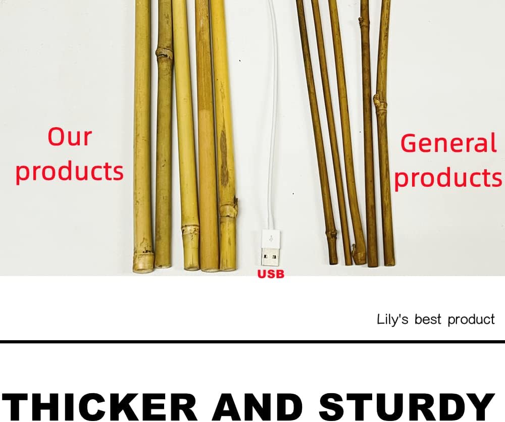 50 Pack 4ft Bamboo Plant Stakes for Wood Garden Sticks，Wooden Plant Supports，Bamboos，Bamboo Trellis，Crafts, More Size Choices 8"/12"/16"//2'/3'/4'/5'/6'