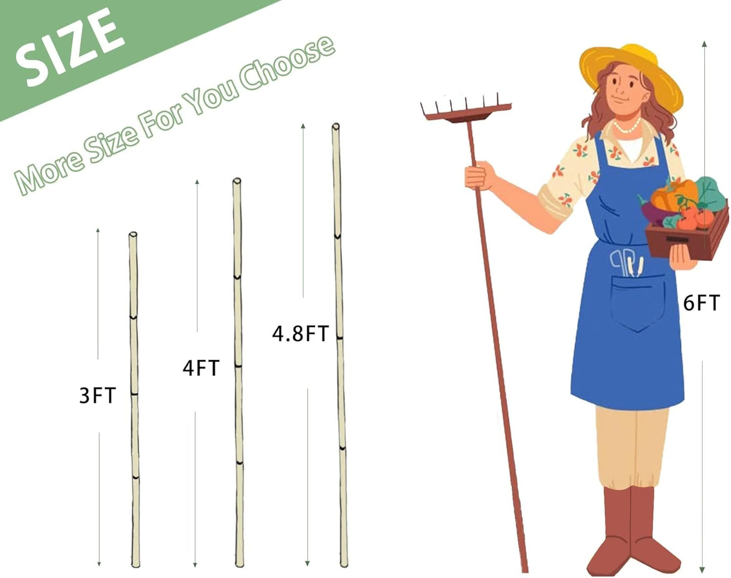 Plant Bamboo Post,5Feet,Bamboo Garden Stakes,50PcsBamboo Stakes,for Tomato,Beans,Vegetable and Flowers, Potted Plants,Indoor and Outdoor Climbing Plants