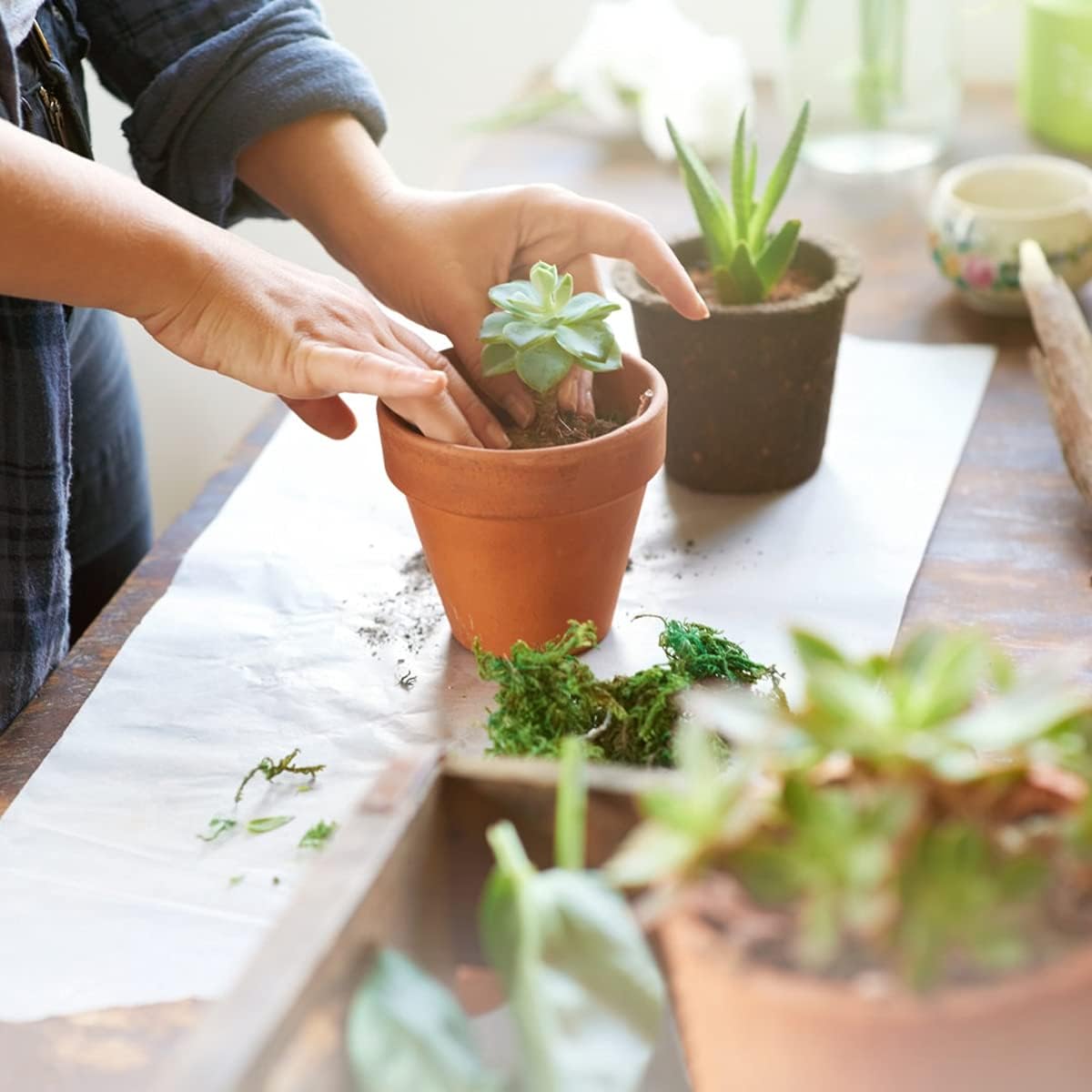 3 Inch Terracotta Pots - 22Pack Clay Flower Pots with Drainage Hole, Succulent Nursery Pot/Cactus Plant Pot. Great for Plants, Crafts, Wedding Favorn, DIY Production