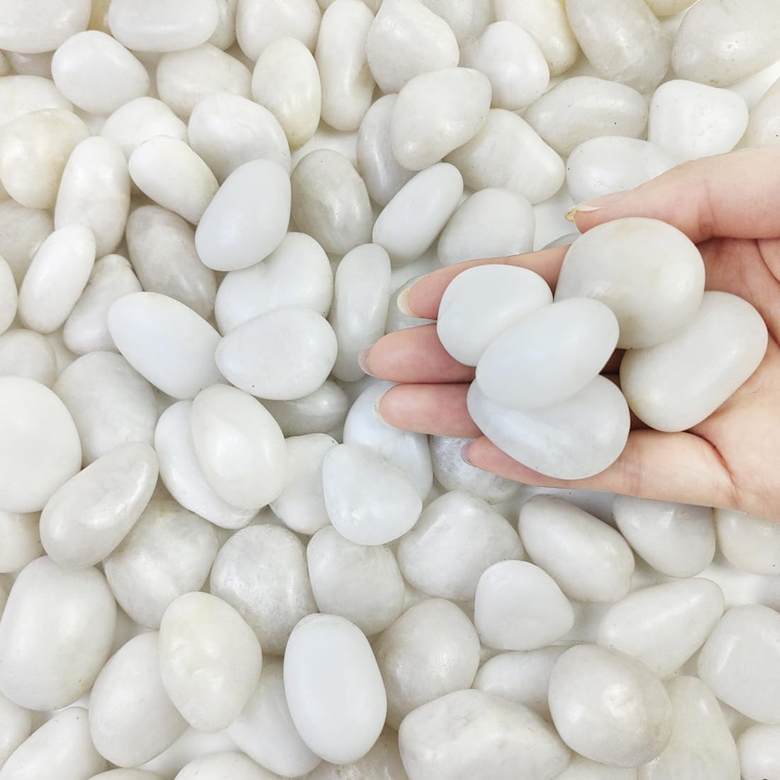 20 lbs White Pebbles for Indoor Plants, 0.8-1.2 inch Small River Rocks for Plants. Decorative White Stones for Planters Vase Fish Tank and Outdoor Garden Landscaping Rocks