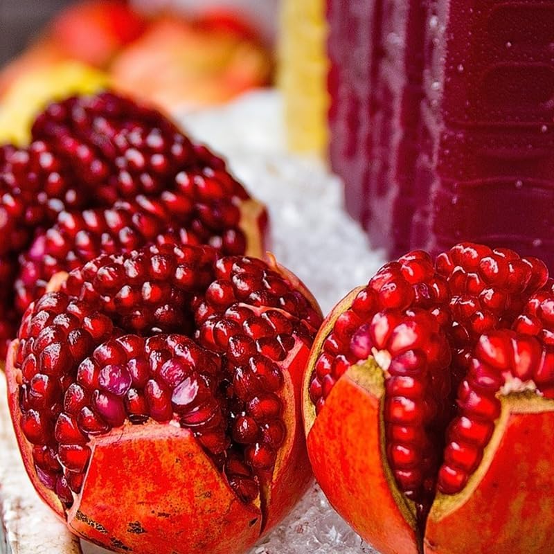 Live Pomegranate 'Wonderful' Plants (Punica Granatum 'Wonderful') - Fruit-Bearing, Drought-Tolerant, Easy to Grow (4 stevia Cups)