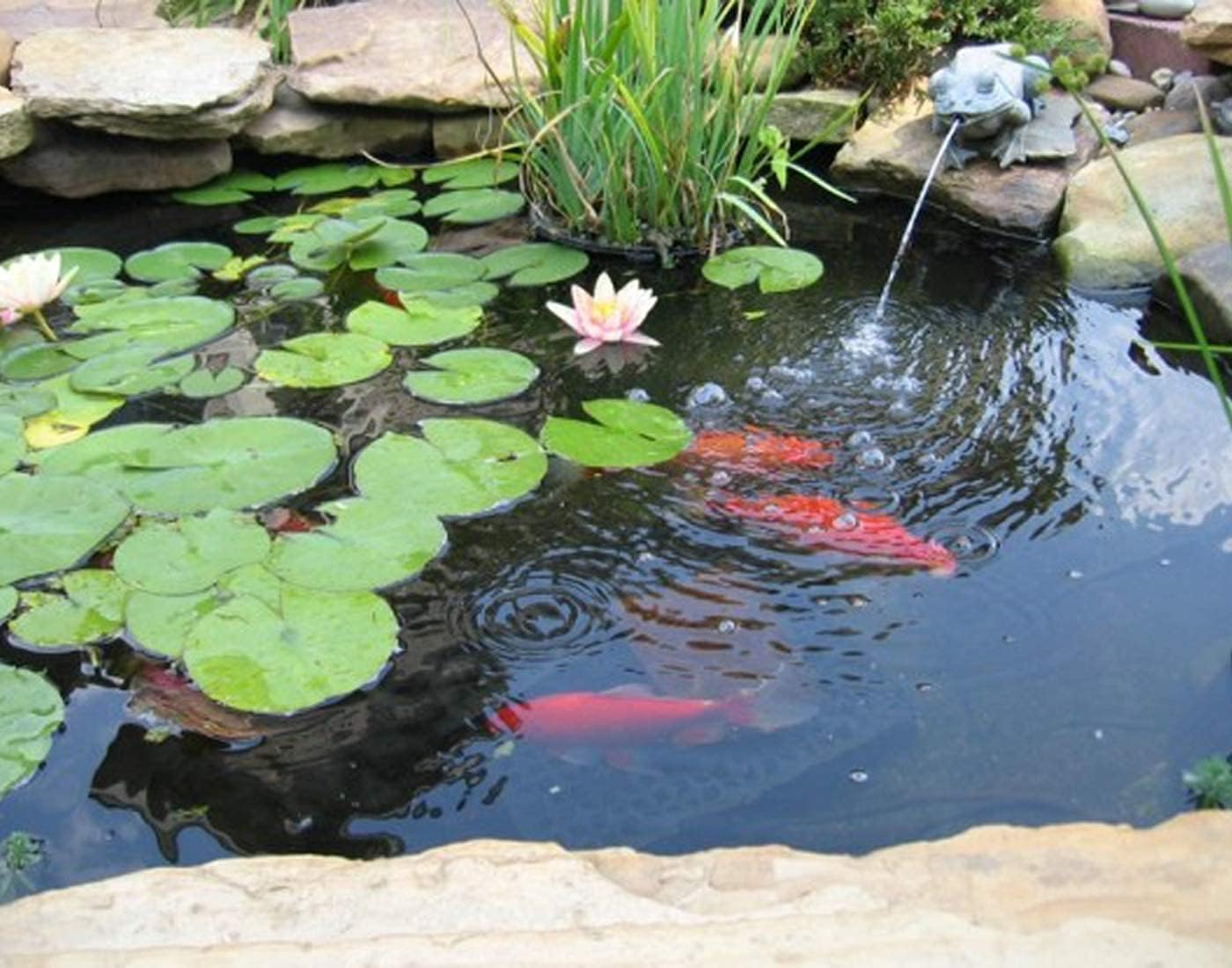 15 x 20 FT Pond Liner, 20 mil Pond Liners for Outdoor Ponds, UV Resistant Fish Pond HDPE Liner for Backyard Koi Ponds, Pool, Water Features, Fountains, Waterfall and Water Gardens, Black