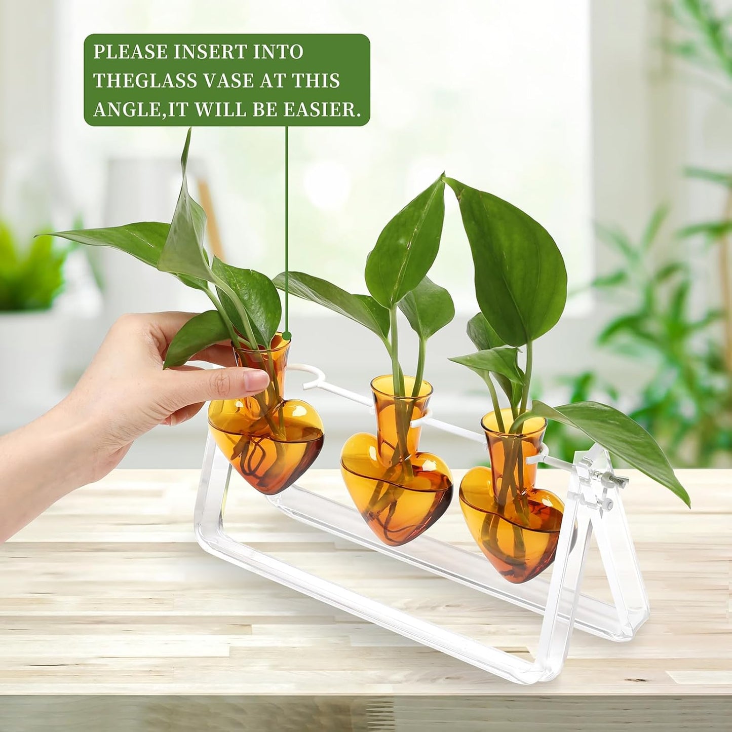 Plant Terrarium Propagation Stations with Wooden Stand Birthday Gifts for Women Plant Stand Indoor Office Home Decor