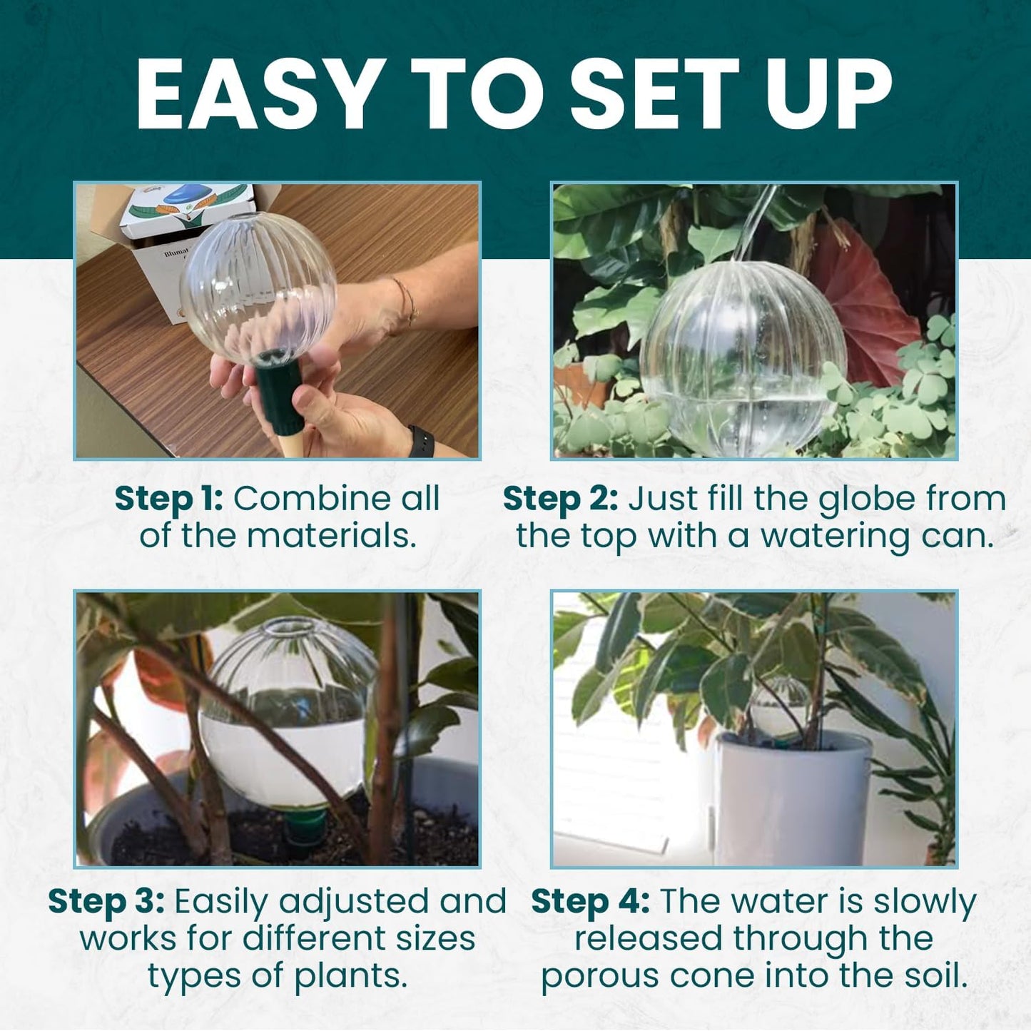 Blumat Glass Plant Self Watering Globes,Automatic Houseplant Drip Irrigation for Indoor Plants, Hanging Plants, Houseplants, Plant Garden Accessories,Vacation Plant Savers,Large Globe Small Adapter