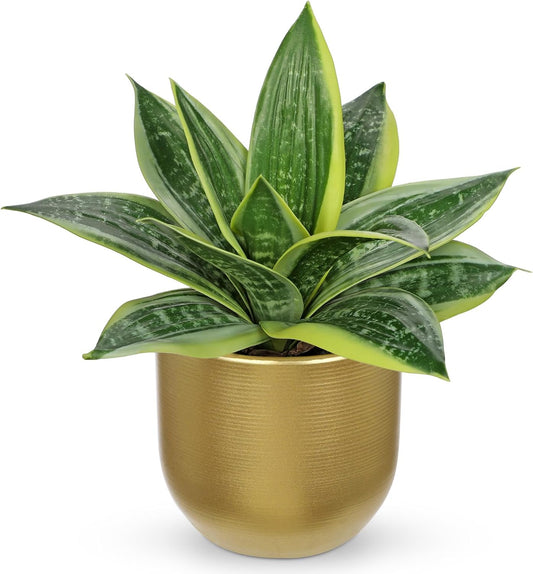 Hollyone Artificial Snake Plants 9" Faux Agave Succulent Plant Potted in Gold Pot Fake Sansevieria Aloe Tropical Plant for Desk Modern Office Home Bathroom Indoor Outdoor Decor