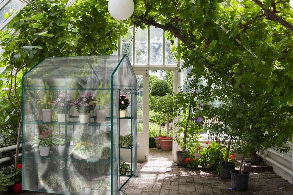Greenhouse - Walk in Greenhouse with 8 Sturdy Shelves and PVC Cover for Indoor or Outdoor Use - 56 x 56 x 76-Inch Green House by Home-Complete
