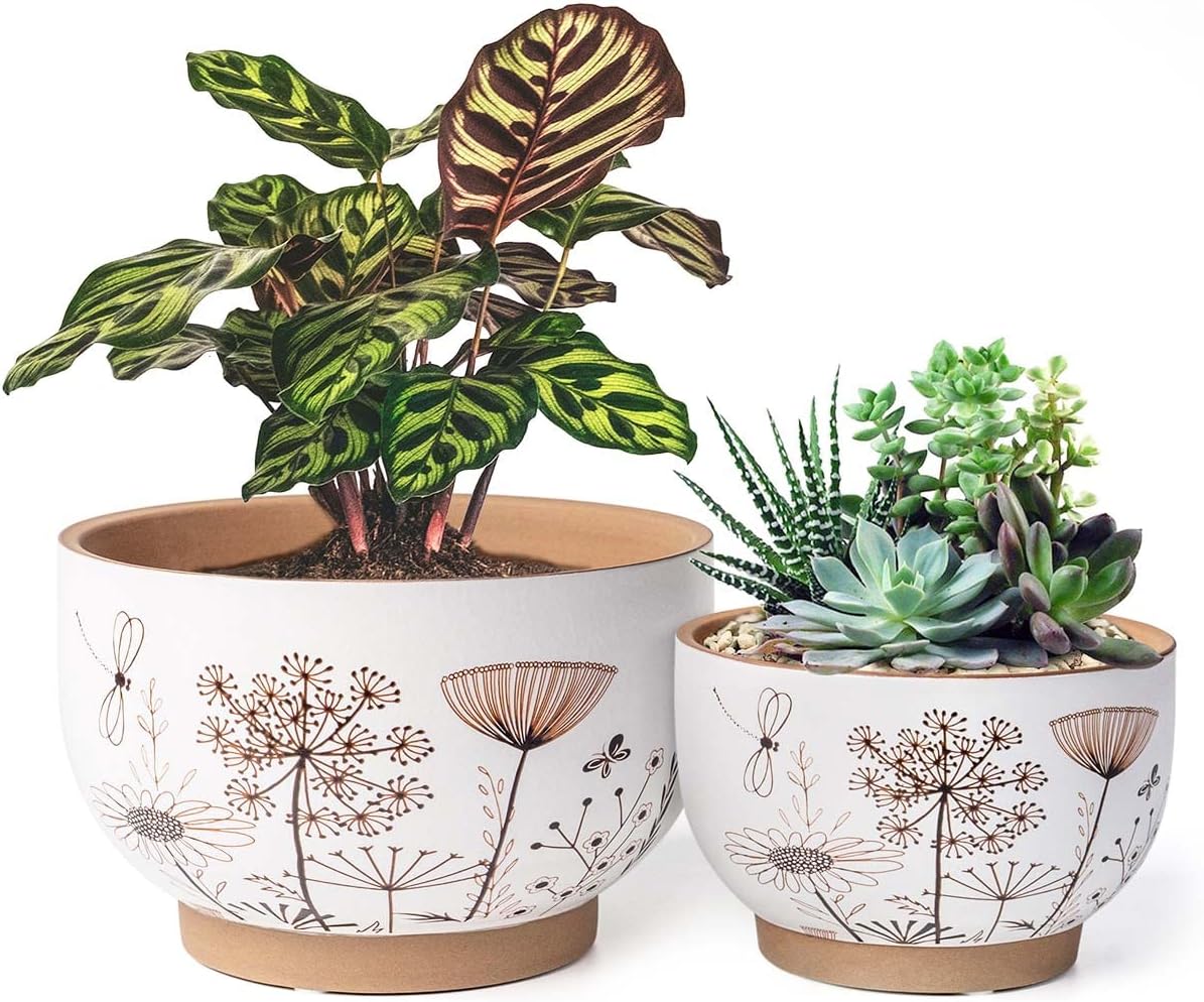 YBX 8 Inch + 6 Inch Ceramic Plant Pots, Succulent Flower Pots with Drainage Holes, Terracotta Planters for Indoor Plants, White&Terracotta (Garden)