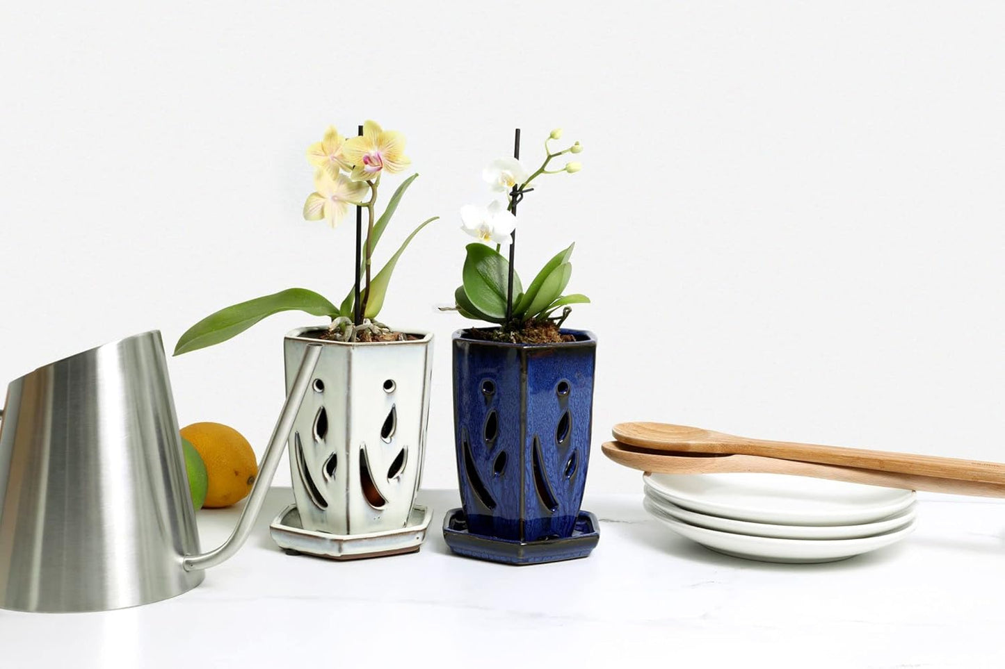 rePotme 4 x 6 inch Ceramic Orchid Pot (White Diamond) - Hexagon Orchid Pot with Holes