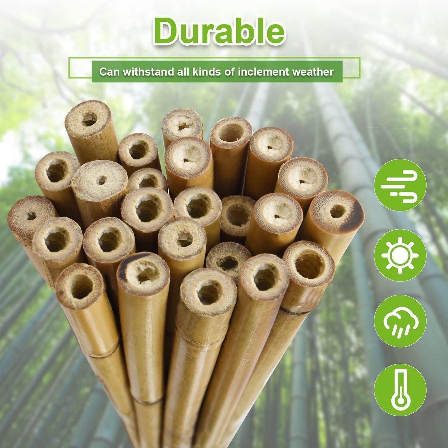 3/10" D 2 Feet Bamboo Stakes 50 Pack, Thicker Heavy-Duty Plant Stakes, Natural Garden Stakes for Bean, Tomato, Bean, Flowers,Trees Potted and Climbing Plant Support