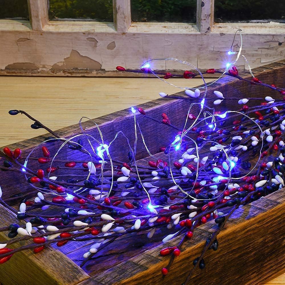 2 Pack Solar Powered Fairy String Lights Outdoor Waterproof 8 Modes Twinkle Christmas Decorations Lights, Each 33ft-100LED, 40ft-120LED, 66ft-200LED, 80ft-240LED, (Blue, 66)