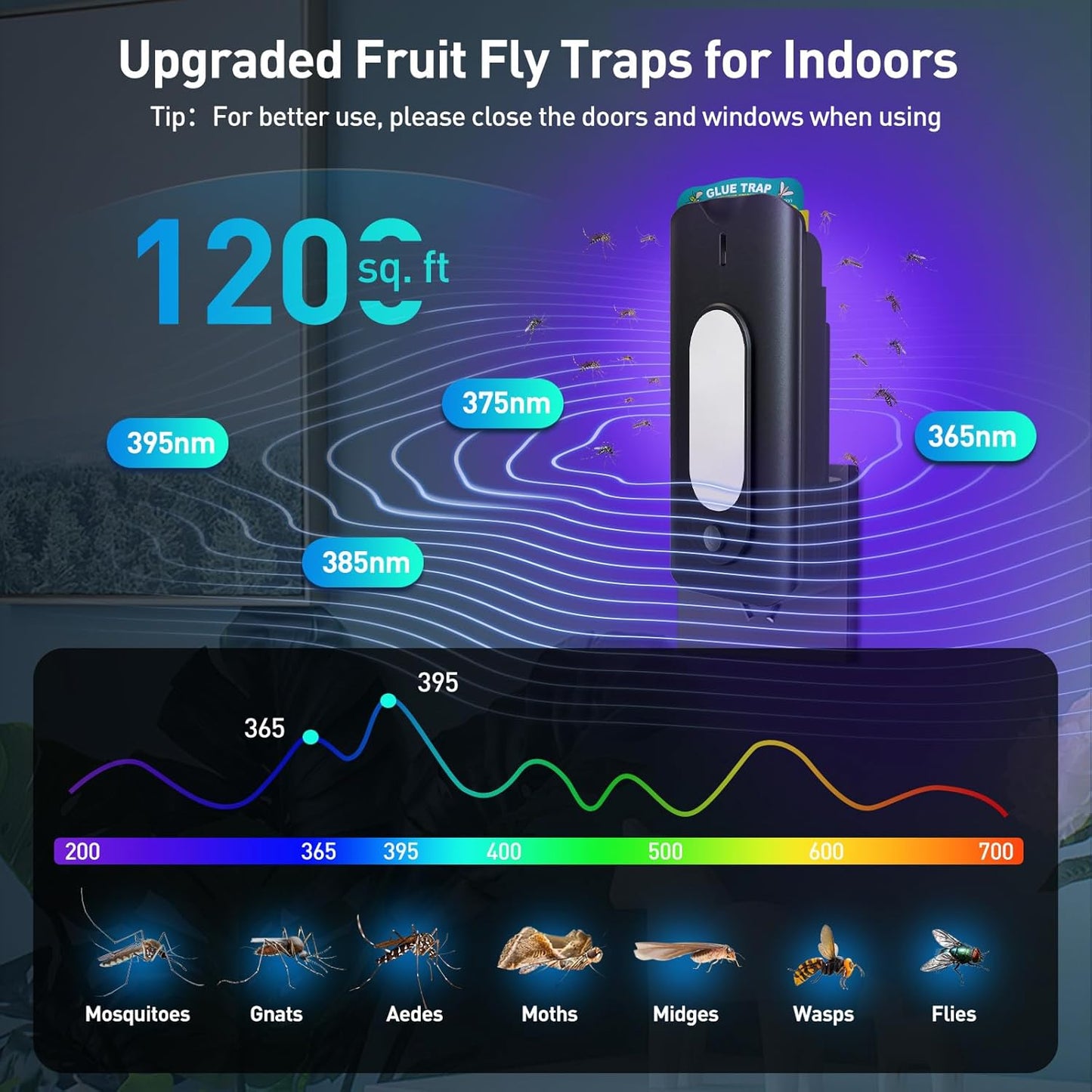 Fruit Fly Trap for Indoors-2PCS, 2 in 1 Fly Trap Indoor with Night Light for Home with 20 Refills, Gnat Traps for House Indoor, Plug-in Insect Trap for Gnats, Flies, Moths-Black