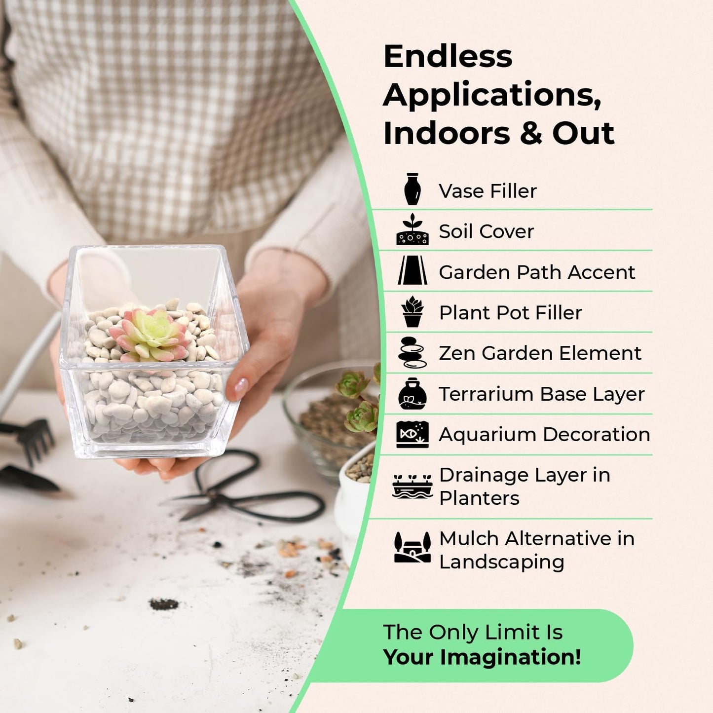 Rocks for Plants. White Decorative Pebbles. 0.5 to 1 Inch 18 lbs. for Garden, Landscaping, Indoor, Vase fillers, Crafting, Succulents, pots, Plants