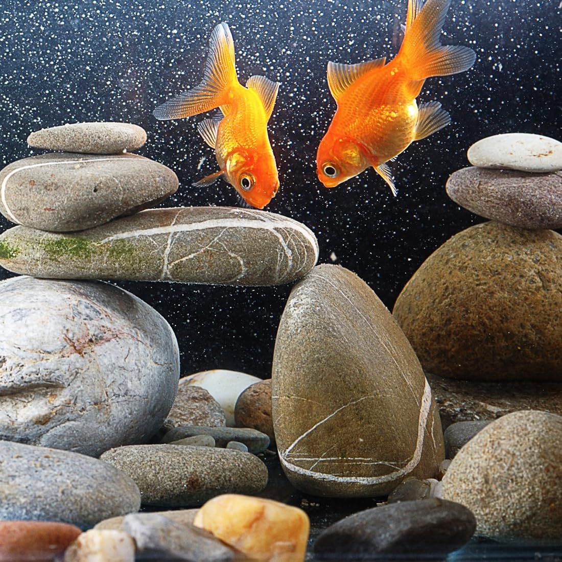 40lbs Natural River Rocks, 2-3" Premium Pebbles for Garden and Landscape Design, Hand-Picked Smooth Stones for Fish Tank, Flower Pots, Indoor Water Fountains, Pathways, Backyard