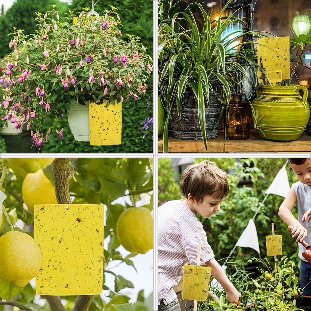 Gideal 30-Pack Dual-Sided Yellow Sticky Traps for Indoor Outdoor Flying Plant Insect Fungus Gnats, Whiteflies, Aphids, Leafminers,Thrips (6x8 Inches, Included 30pcs Twist Ties)