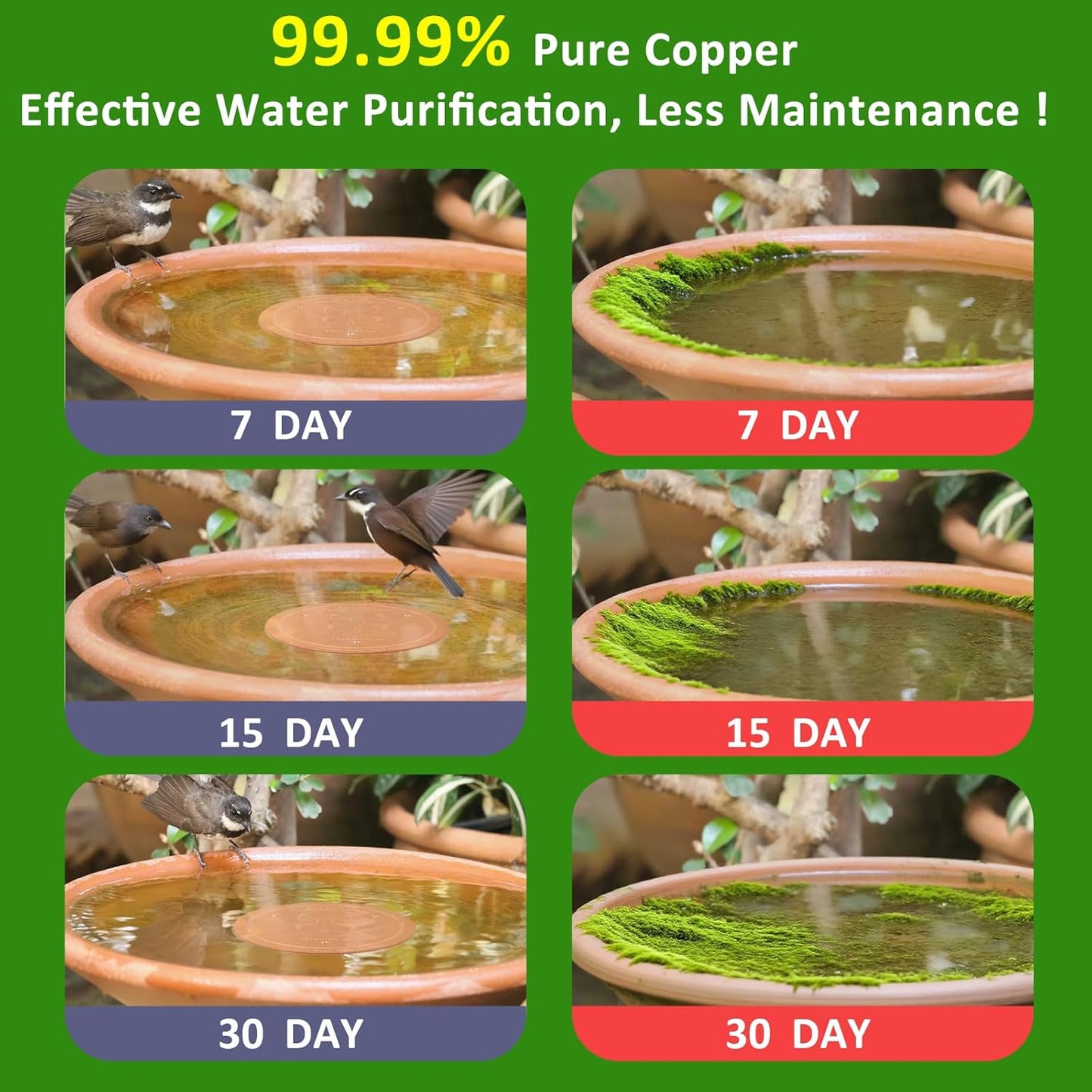 Bird Bath Copper Disk, 99.99% Pure Copper with Triple-Point Support, Physical Safe Clean Water for Outdoor Birdbaths & Bowls, All-Season Use, Reinforced Design