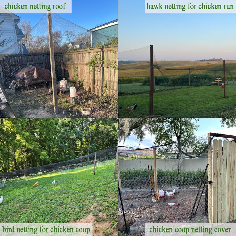 Bird Netting for Chicken Coop 25x25 Ft, 1/2" Mesh, Strong Woven Poultry Netting Roof Cover for Chicken Run, Heavy Duty Bird Net for Fruit Trees, Blueberry, Vegetables, Garden Protection