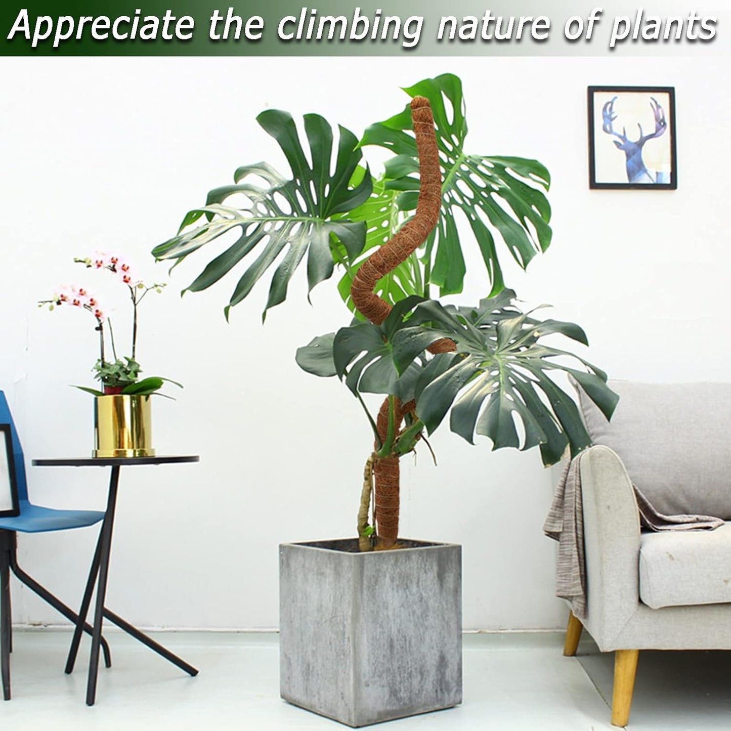 Bendable Moss Pole, 47 Inch Moss Poles for Plants Monstera, Tall Moss Poles for Climbing Plants Indoor, Large Moss Pole Support, Garden Trellis Plant Stand Stakes for Potted Plants, Pothos