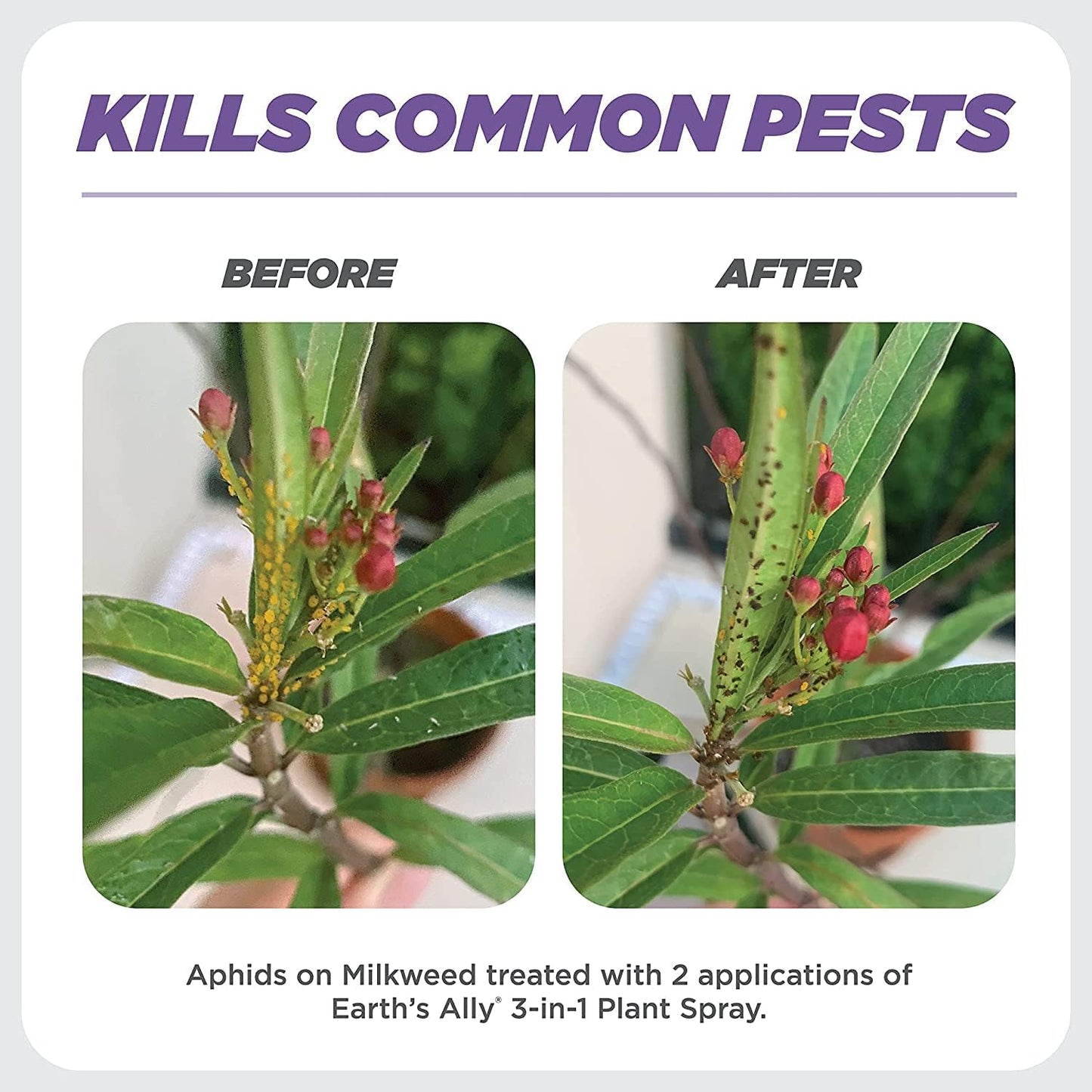 Earth's Ally 3-in-1 Plant Spray 32 oz | Safe & Organic Insecticide, Fungicide & Spider Mite Control, Use on Indoor Houseplants and Outdoor Plants, Gardens & Trees, Insect Repellent & Antifungal Use
