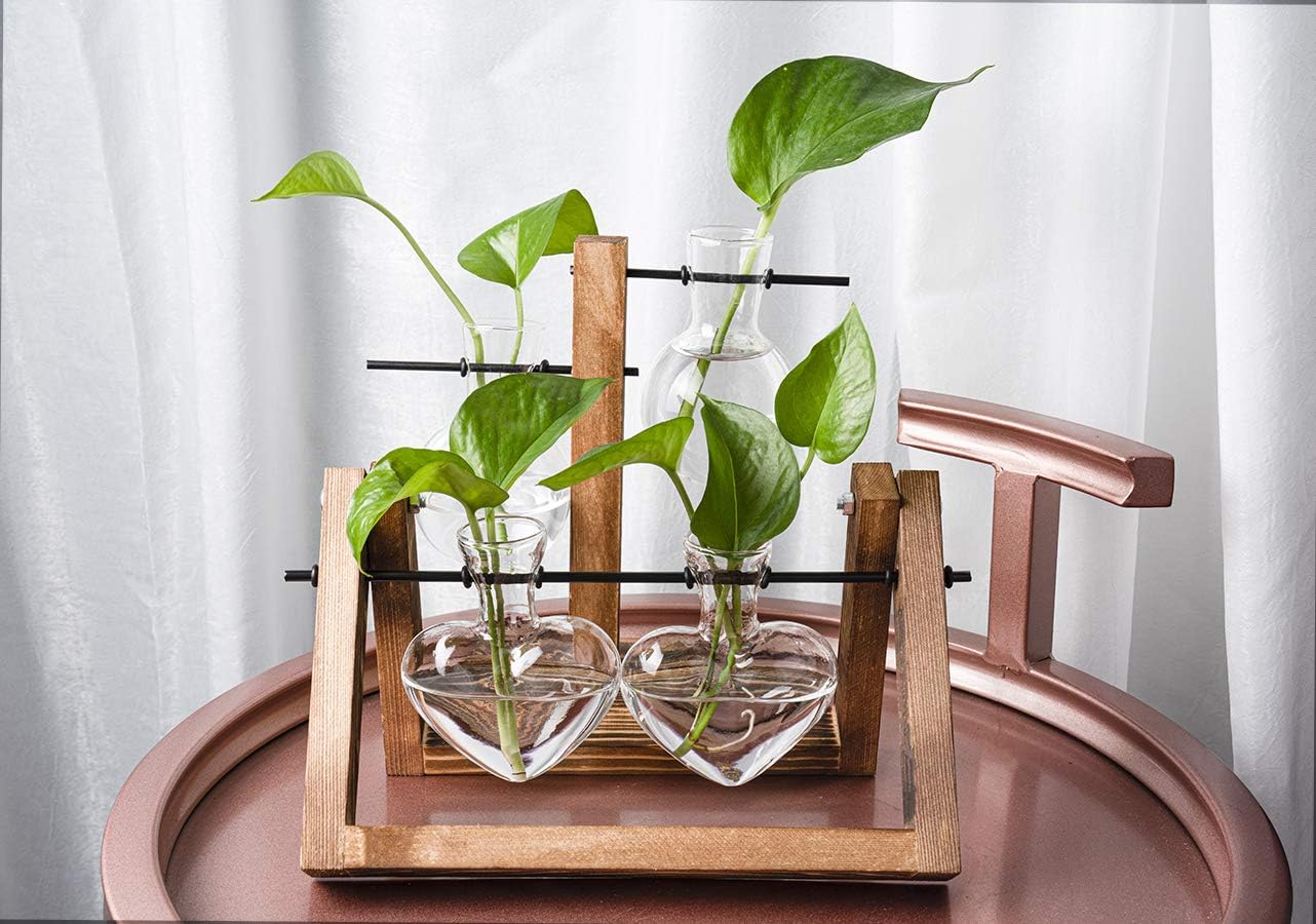 Kingbuy Glass Desktop Planter with Retro Wooden Stand and Plant Terrarium Vase (2 Hearts) for Indoor Home Office Desk Decor Accessories