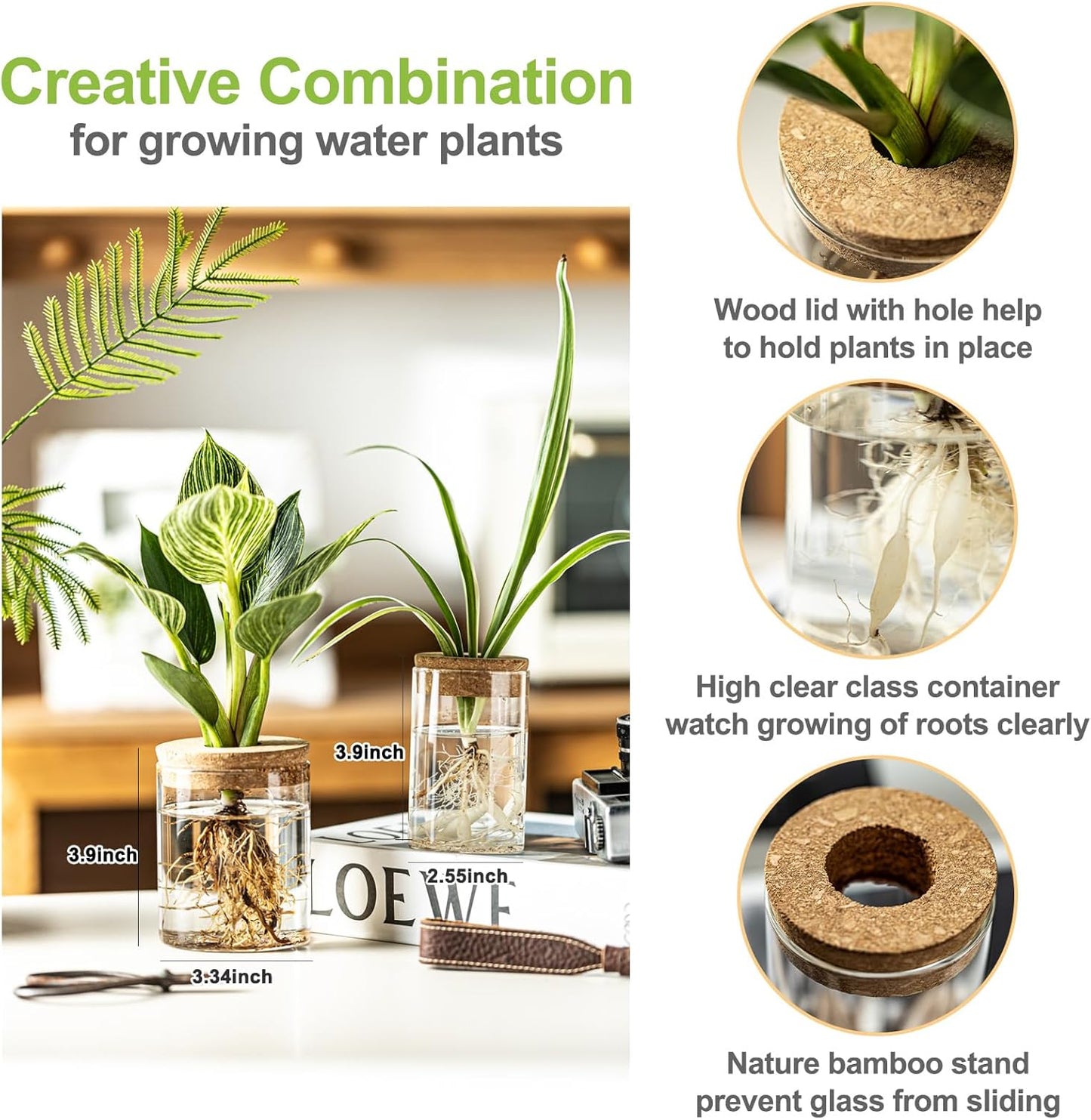 Glass Plant Propagation Stations for Plants – Set of 4(2 Large & 2 Small) Hydroponic Vases for Plant Cuttings,Flower Arrangements, Home & Office Decor–Desktop Vases for Living Room, Bedroom (4)